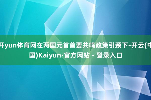 开yun体育网在两国元首首要共鸣政策引颈下-开云(中国)Kaiyun·官方网站 - 登录入口