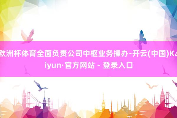 欧洲杯体育全面负责公司中枢业务操办-开云(中国)Kaiyun·官方网站 - 登录入口