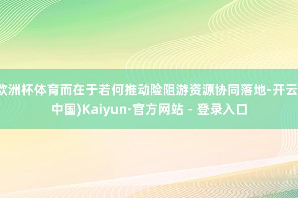 欧洲杯体育而在于若何推动险阻游资源协同落地-开云(中国)Kaiyun·官方网站 - 登录入口